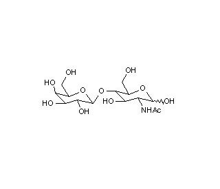 N-Acetyl-D-lactosamine(N-Acetyllactosamine)图片