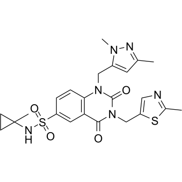 PDD 00017273图片