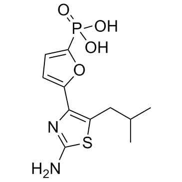MB05032图片