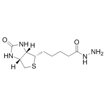 Biotin Hydrazide图片