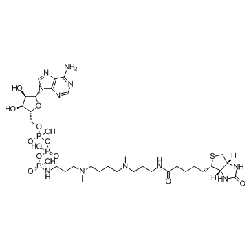 ATP-polyamine-biotin图片