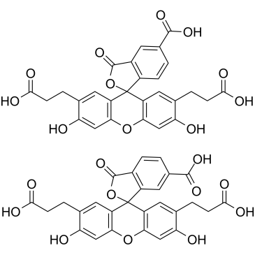 BCECF(2',7'-Bis(2-carboxyethyl)-5(6)-carboxyfluorescein)图片