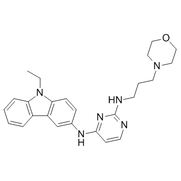 EHop-016图片