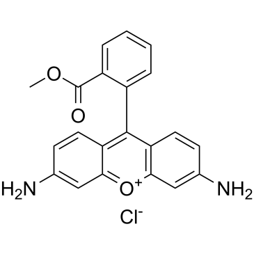 Rhodamine 123(R-22420RH-123)图片