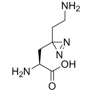 Photo-lysine(Photo lysine)图片