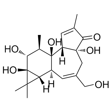Phorbol(4β-Phorbol)图片