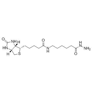 Biotin LC hydrazide(Biotinamidocaproyl hydrazideBACHBiotin Aminocaproyl Hydrazide)[CAS109276-34-8]图片
