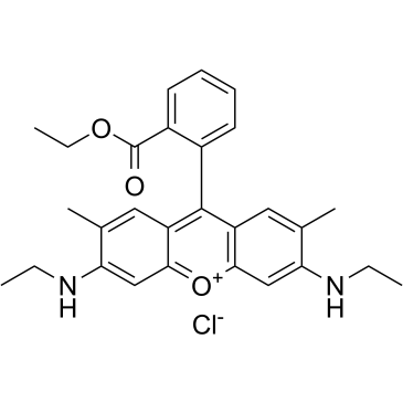 Rhodamine 6G(Basic Red 1)图片