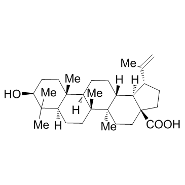 Betulinic acid(Lupatic acidBetulic acid)ͼƬ