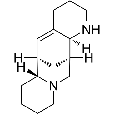 苦豆碱图片