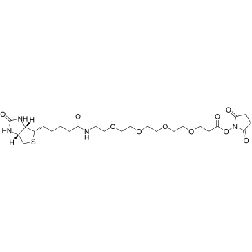 Biotin-PEG4-NHS ester图片