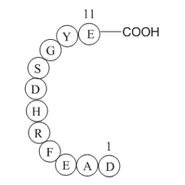 Beta-Amyloid(1-11)图片