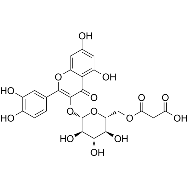 Quercetin 3-O-(6&rsquo&rsquo-O-malonyl)-β-D-glucoside图片