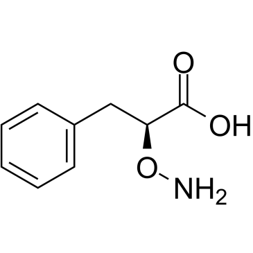 L-2-Aminooxy-3-phenylpropanoic acid图片
