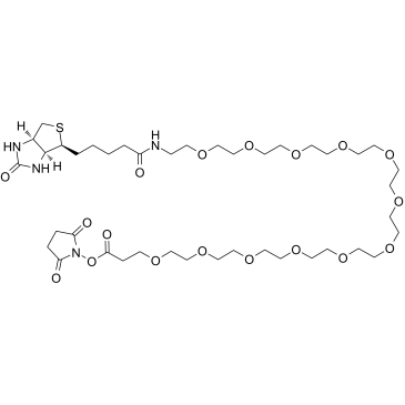 Biotin-PEG12-NHS ester图片