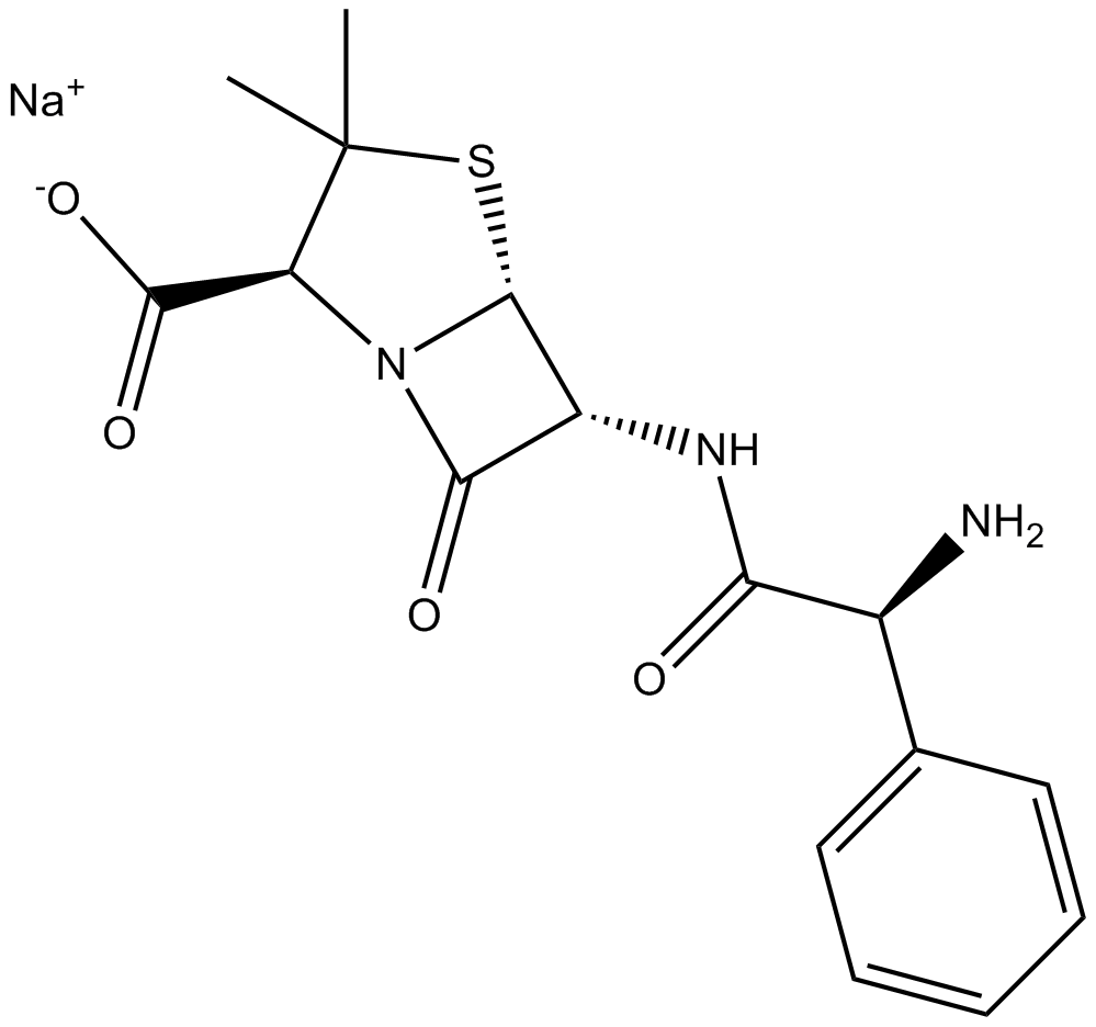Ampicillin sodium图片