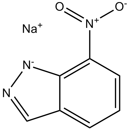 7-NINA图片