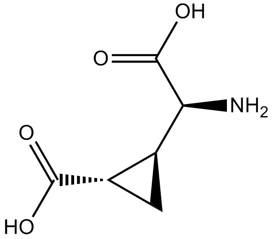 L-CCG-l图片