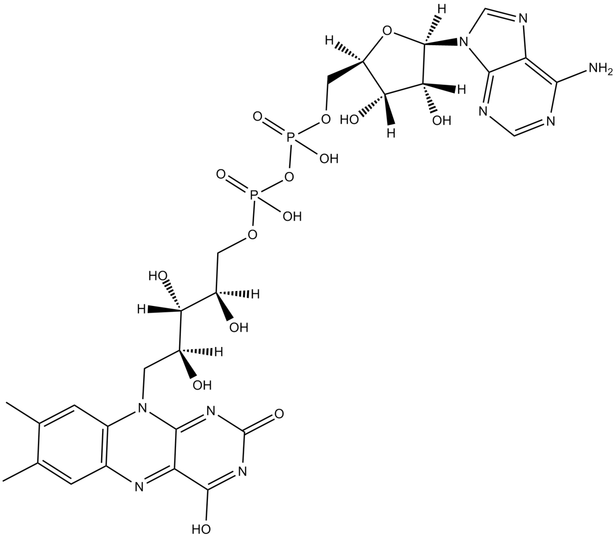 Flavin adenine dinucleotide图片