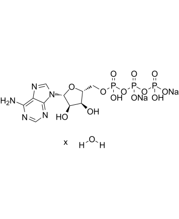 Adenosine 5'-triphosphate disodium salt hydrate图片