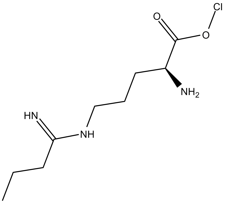 Ethyl-L-NIO(hydrochloride)图片