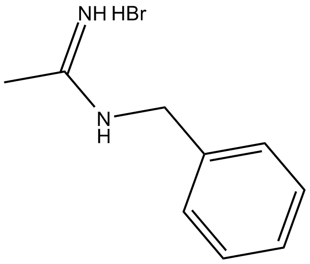 N-Benzylacetamidine(hydrobromide)图片