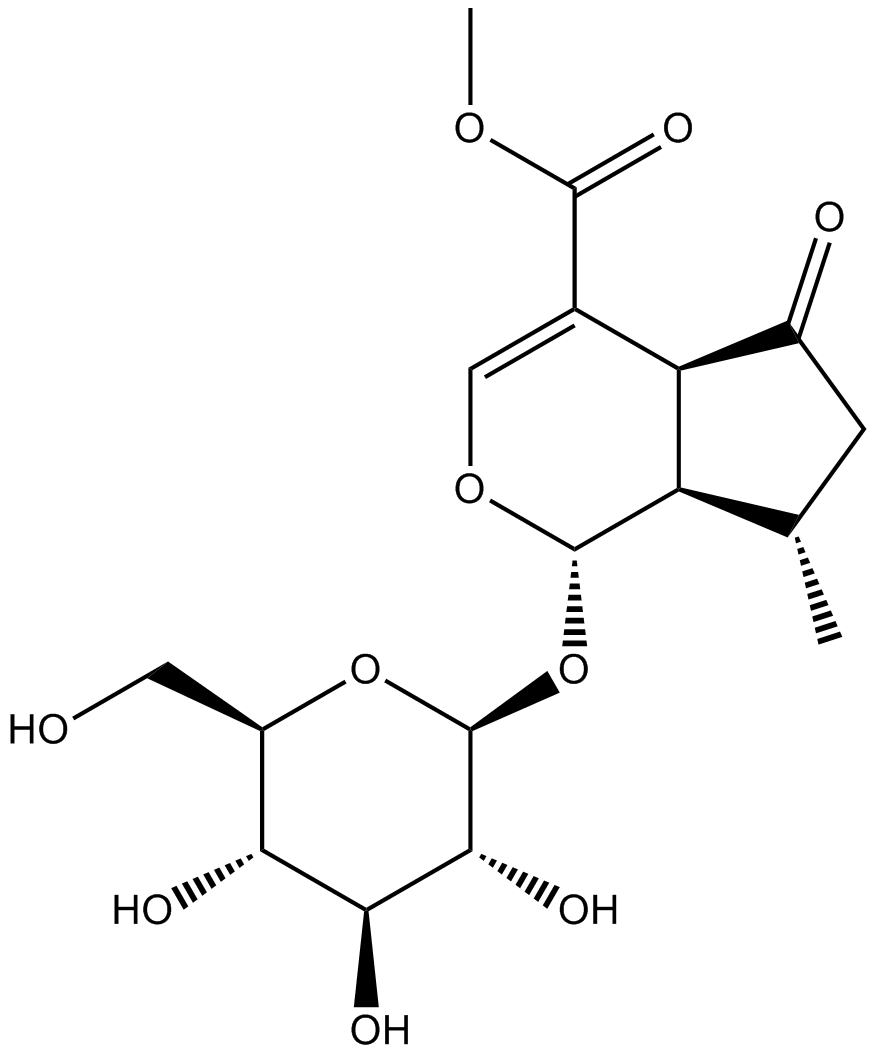 Verbenalinp图片