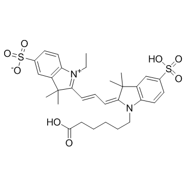 Zy3 carboxylic acid图片