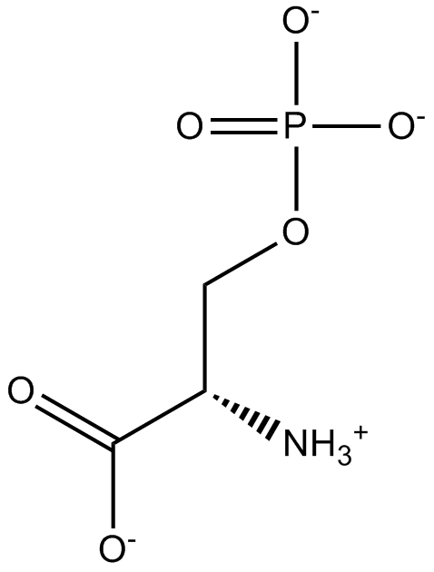 O-Phospho-L-serine图片