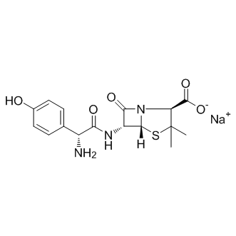 Amoxicillin Sodium图片