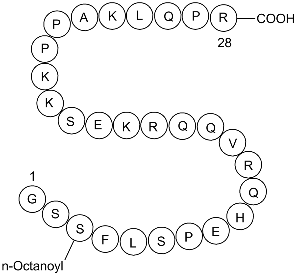 Ghrelin(human)图片