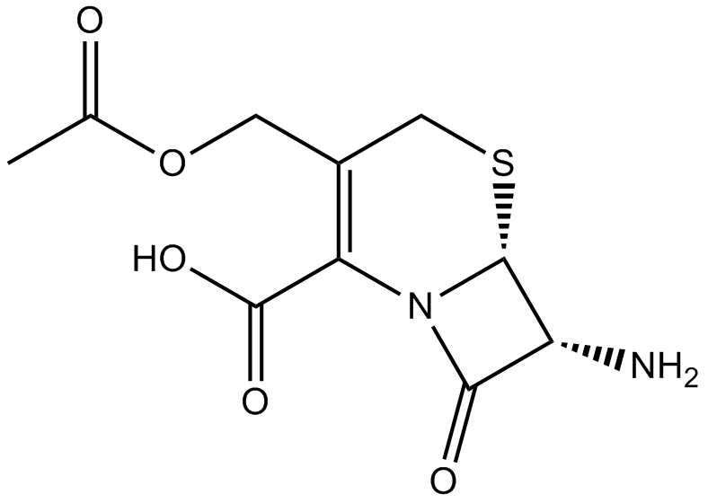 7-Aminocephalosporanic acid图片