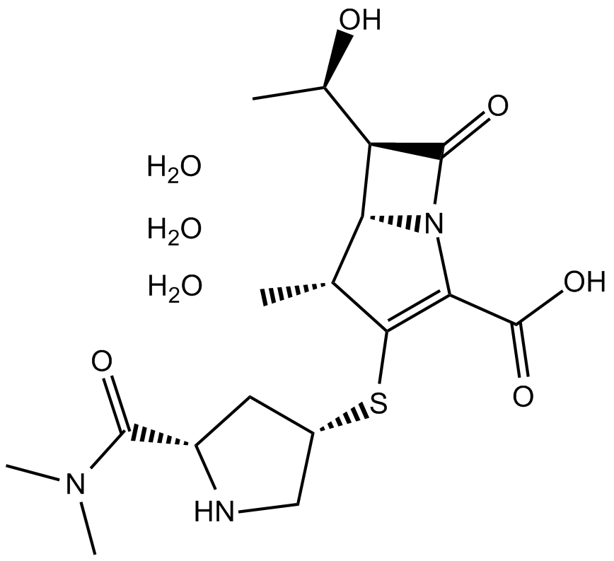 Meropenem trihydrate图片