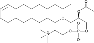 PAF C-18:1图片