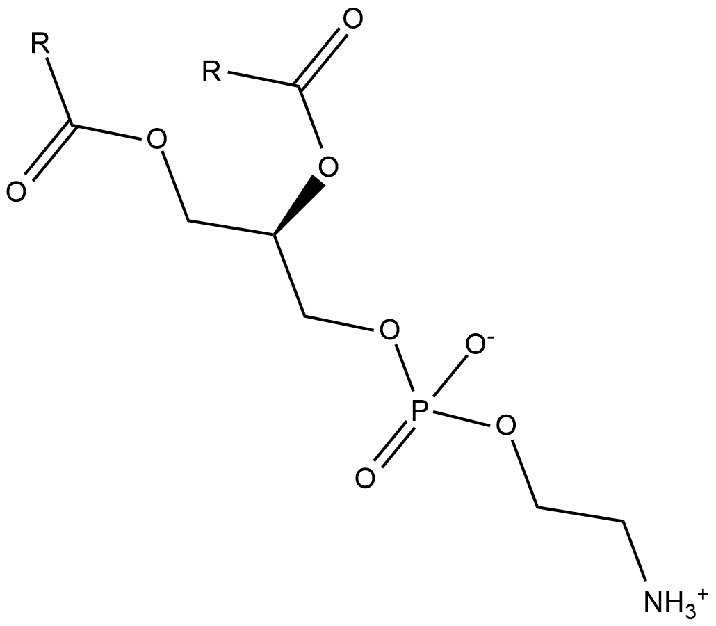 Phosphatidylethanolamines(soy)图片