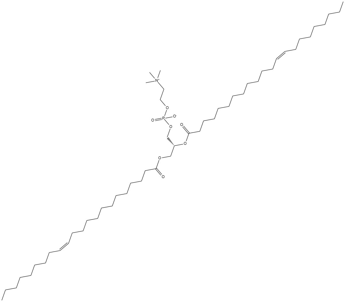1,2-Dierucoyl-sn-glycero-3-PC图片