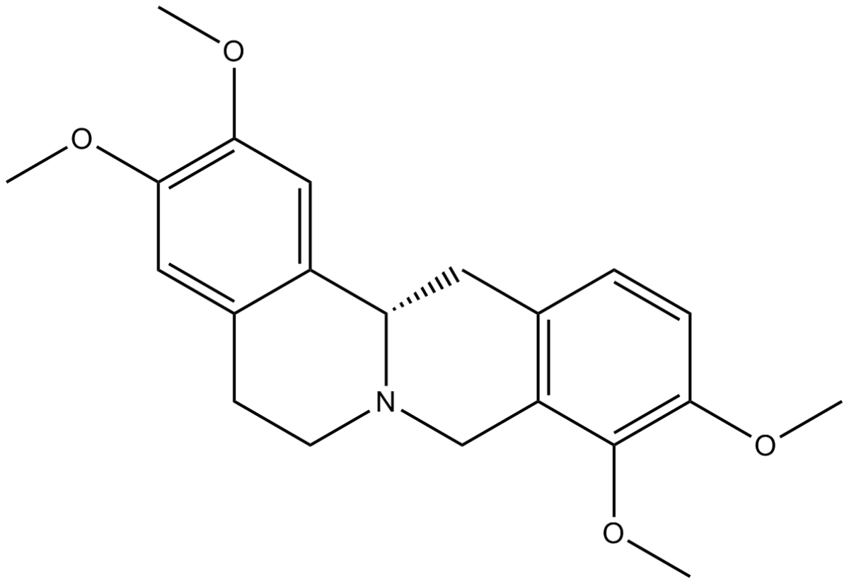 Tetrahydropalmatine图片