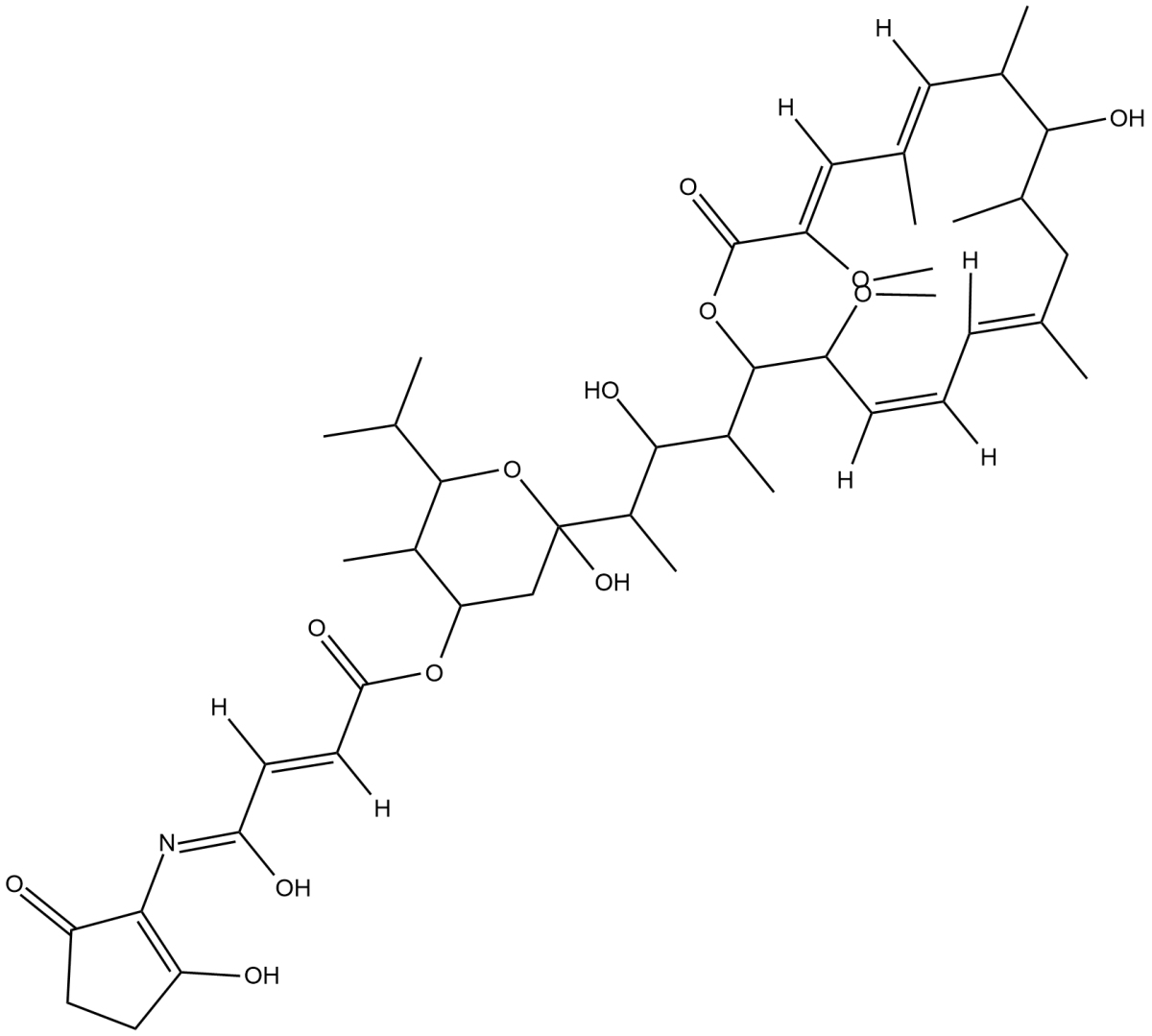 Bafilomycin B1图片