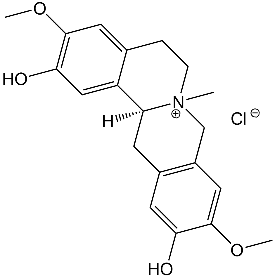 Phellodendrine chloride图片