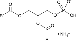 Phosphatidic Acids(egg)(ammonium salt)图片