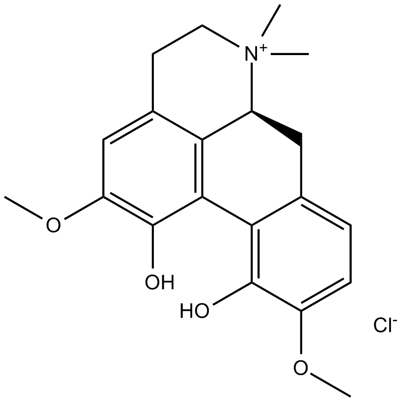 Magnoflorine chloride图片