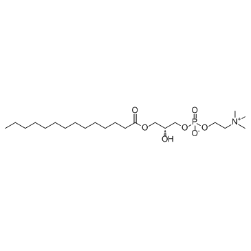 LysoPC(14:0/0:0)图片