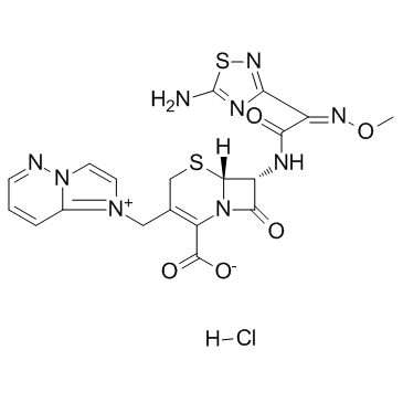 Cefozopran hydrochloride(SCE-2787 hydrochloride)图片