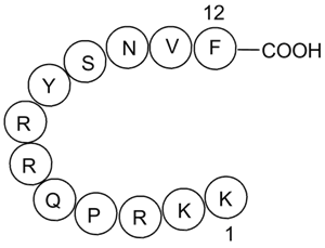 DAPK Substrate Peptide图片