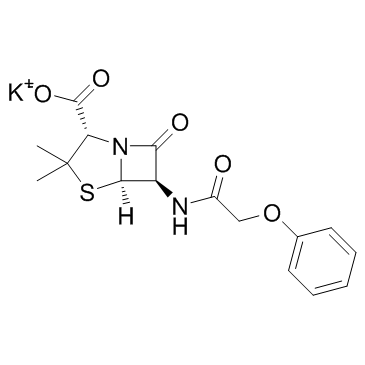 Penicillin V Potassium(Phenoxymethylpenicillin potassium salt)图片