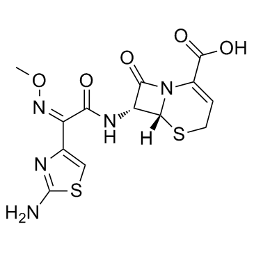 Ceftizoxime图片