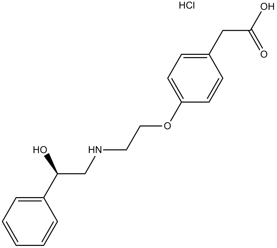 ZD 2079图片