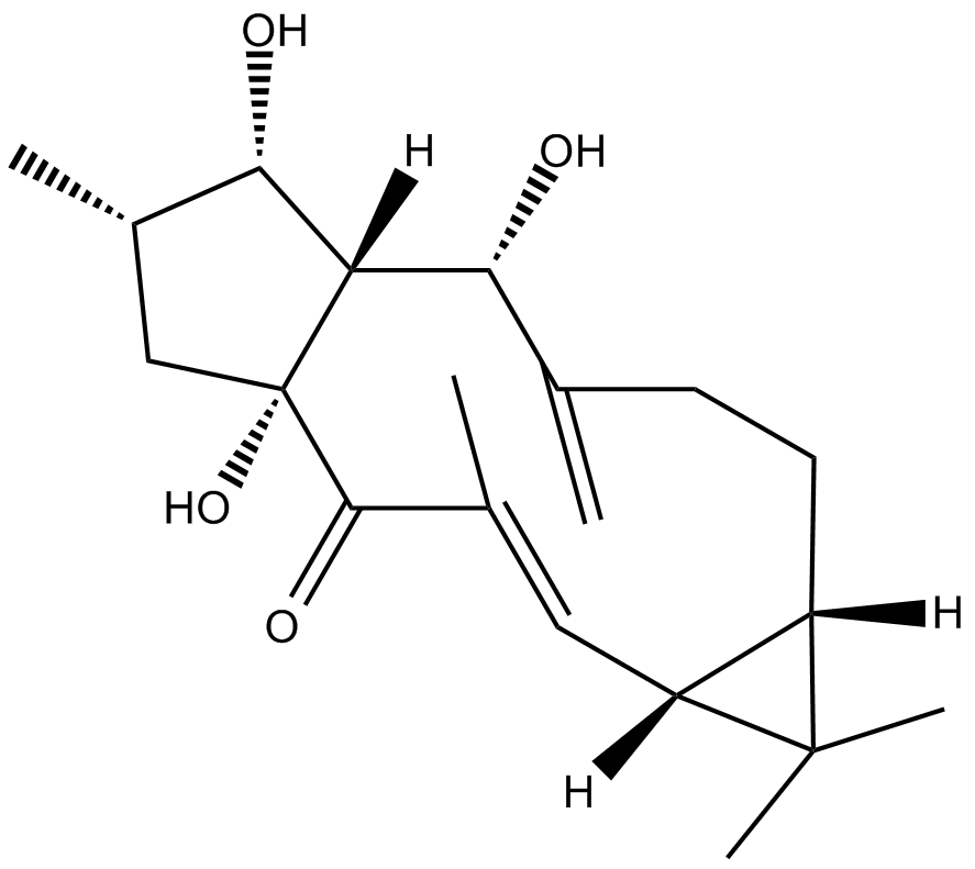 LathyrolͼƬ