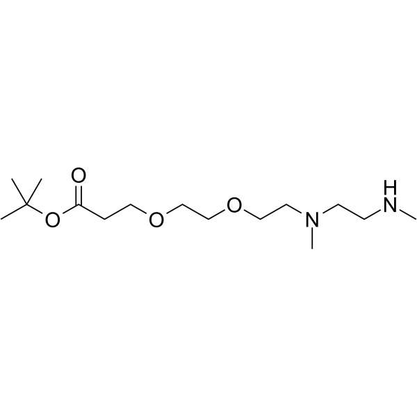 N,N'-DME-N-PEG2-Boc图片