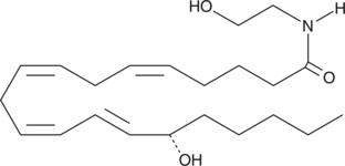 15(S)-HETE Ethanolamide图片
